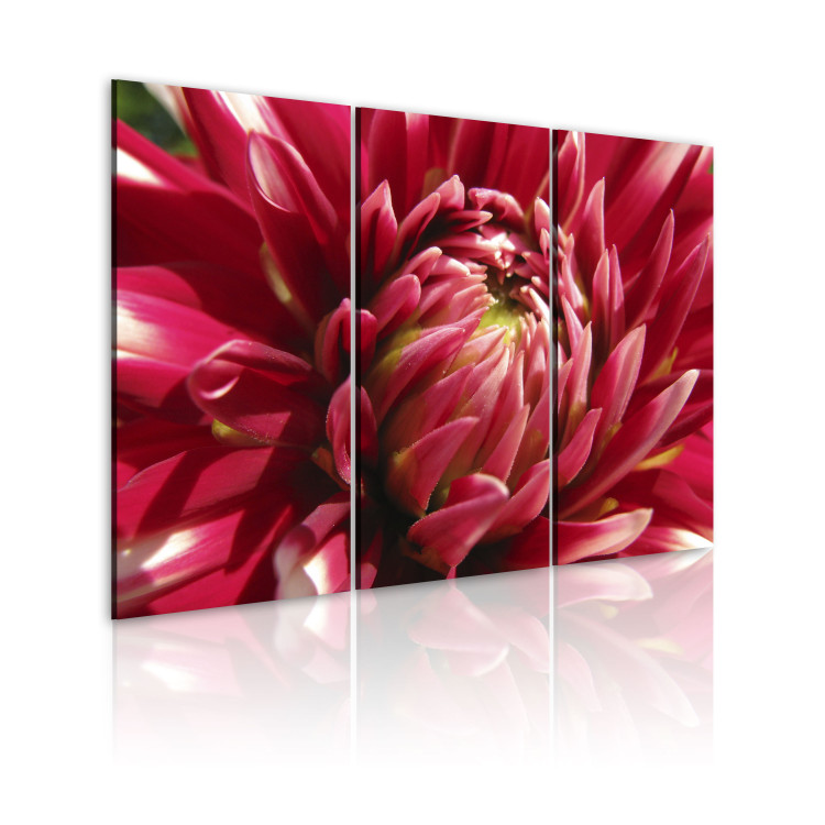 Canvas Print Blooming garden- dahlia 58621 additionalImage 2