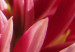 Canvas Print Blooming garden- dahlia 58621 additionalThumb 4