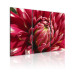 Canvas Print Blooming garden- dahlia 58621 additionalThumb 2