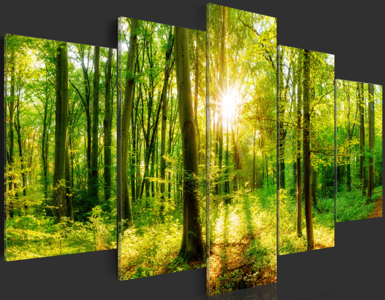 Acrylic print Forest Tale [Glass] 94221 additionalImage 4