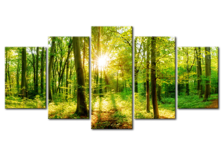 Acrylic print Forest Tale [Glass] 94221 additionalImage 2