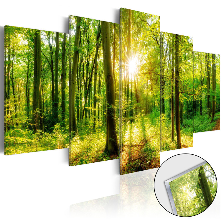 Acrylic print Forest Tale [Glass] 94221