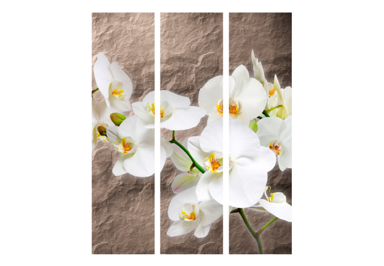 Room Divider Screen Orchid Immaculateness - white orchid flower on a stone texture 95321 additionalImage 3