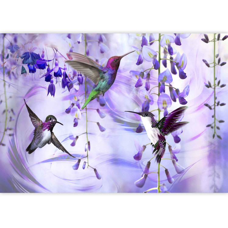 Wall Mural Flying hummingbirds - flying birds motif among flowers in purple 108031 additionalImage 3