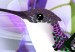 Wall Mural Flying hummingbirds - flying birds motif among flowers in purple 108031 additionalThumb 8