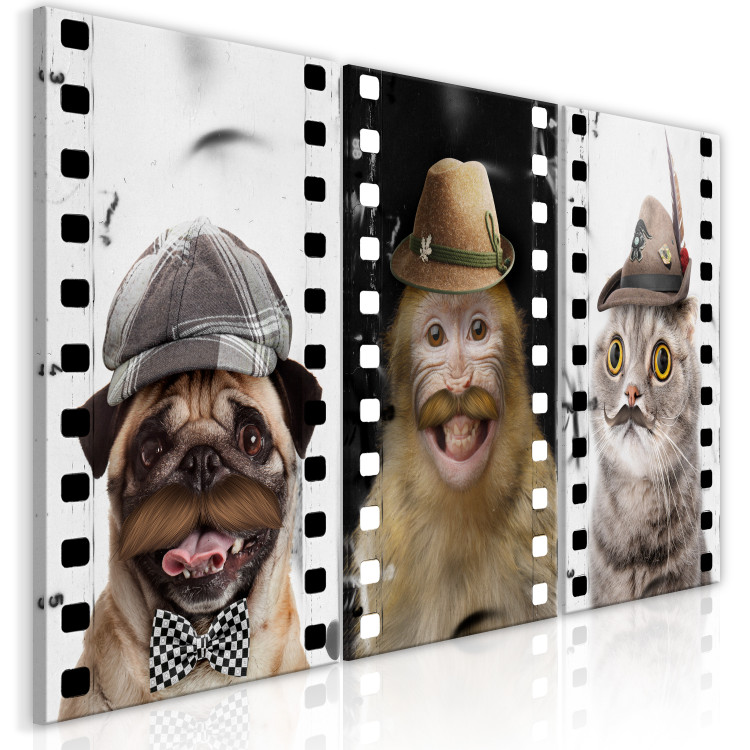 Canvas Funny Pets (Collection) 116831 additionalImage 2