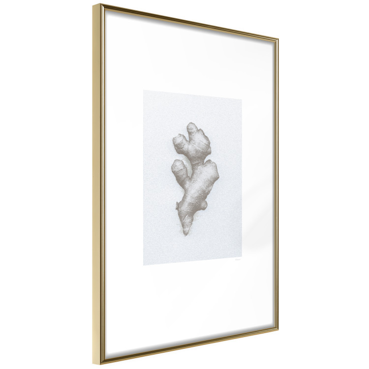 Wall Poster Ginger - minimalist composition with the warming root of nature 117531 additionalImage 6