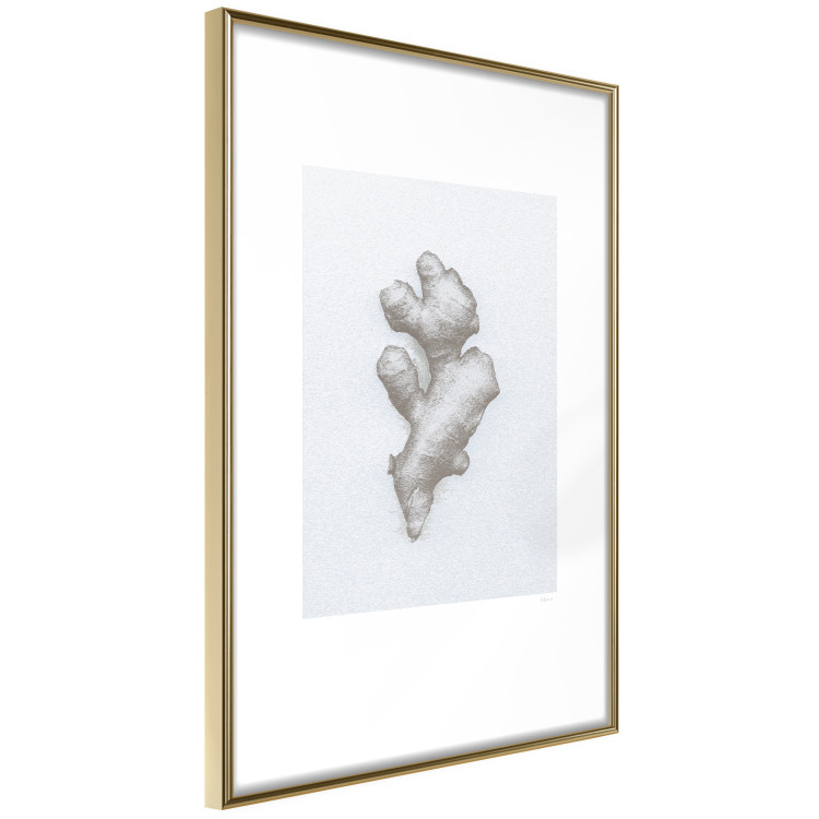 Wall Poster Ginger - minimalist composition with the warming root of nature 117531 additionalImage 12