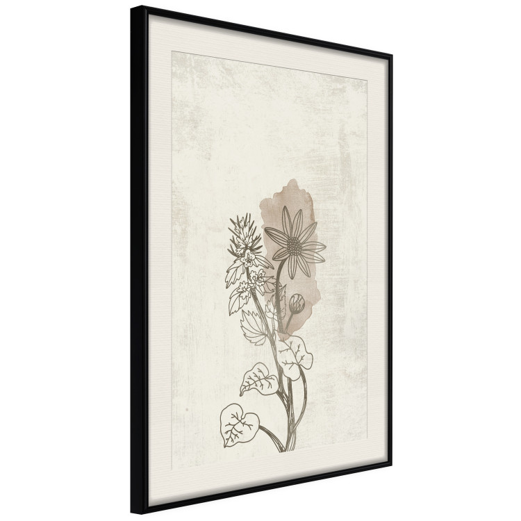 Poster Nature Outline - flower with leaves on a light beige background in a retro motif 125731 additionalImage 3