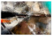 Large canvas print Wind Colours [Large Format] 128431