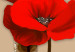 Canvas White and red poppies - triptych with flowers on a brown background 128831 additionalThumb 5
