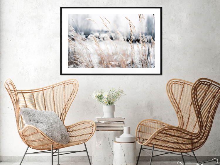 Poster Land of Ice - winter landscape of a meadow with golden plants on a light background 129831 additionalImage 18