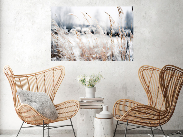 Poster Land of Ice - winter landscape of a meadow with golden plants on a light background 129831 additionalImage 3