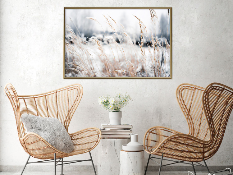 Poster Land of Ice - winter landscape of a meadow with golden plants on a light background 129831 additionalImage 8