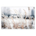 Poster Land of Ice - winter landscape of a meadow with golden plants on a light background 129831