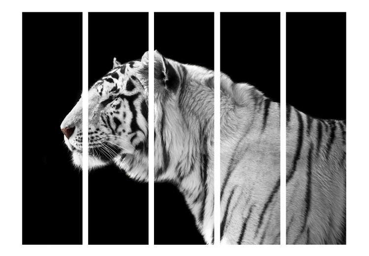 Room Separator White Tiger II (5-piece) - black and white composition with a wild cat 133331 additionalImage 3