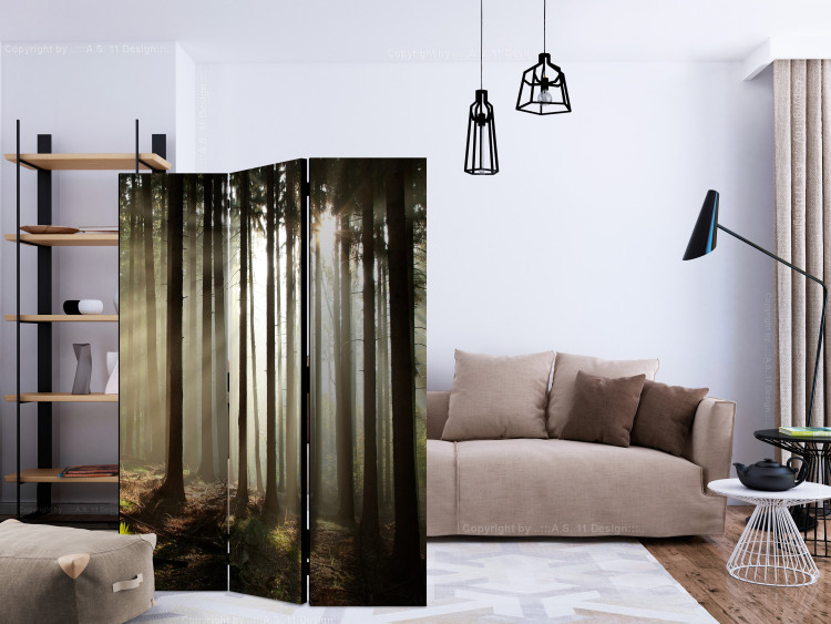 Folding Screen Coniferous Forest - Morning Mist (3-piece) - landscape among forest trees 134131 additionalImage 4