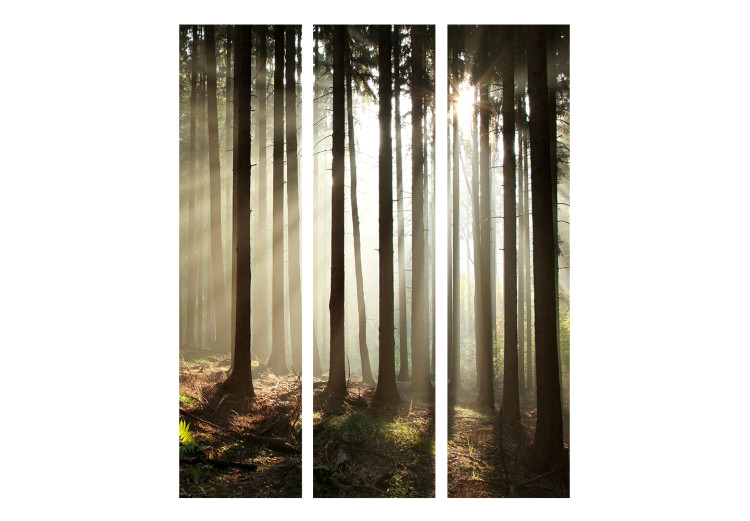 Folding Screen Coniferous Forest - Morning Mist (3-piece) - landscape among forest trees 134131 additionalImage 3