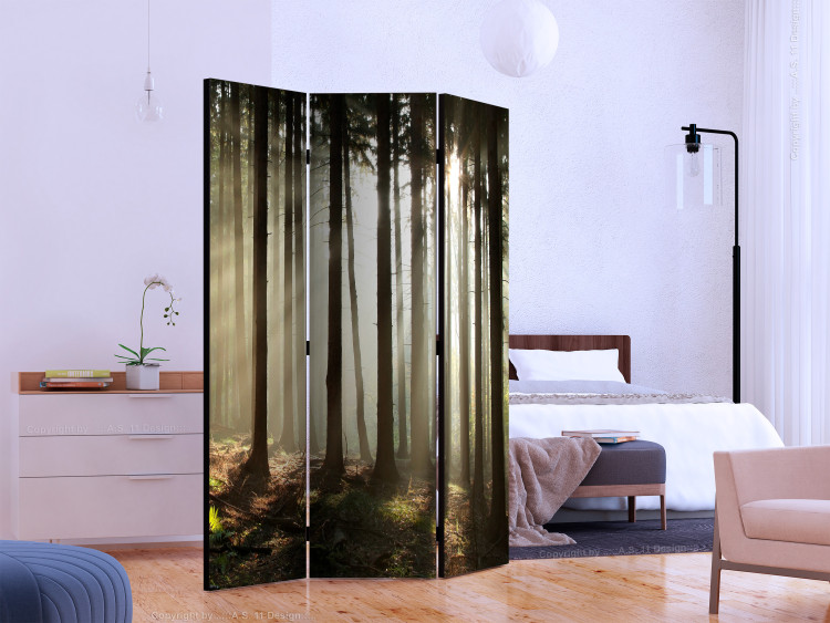 Folding Screen Coniferous Forest - Morning Mist (3-piece) - landscape among forest trees 134131 additionalImage 2