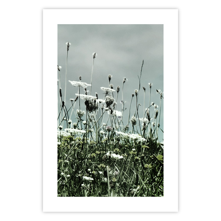 Wall Poster Midsummer - landscape of a flower-filled meadow with cloudy sky in the background 137231 additionalImage 8