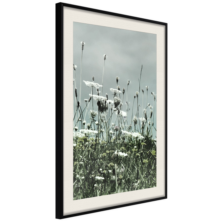 Wall Poster Midsummer - landscape of a flower-filled meadow with cloudy sky in the background 137231 additionalImage 20
