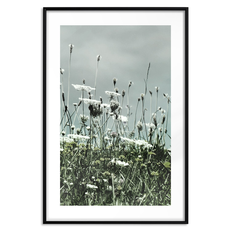 Wall Poster Midsummer - landscape of a flower-filled meadow with cloudy sky in the background 137231 additionalImage 3