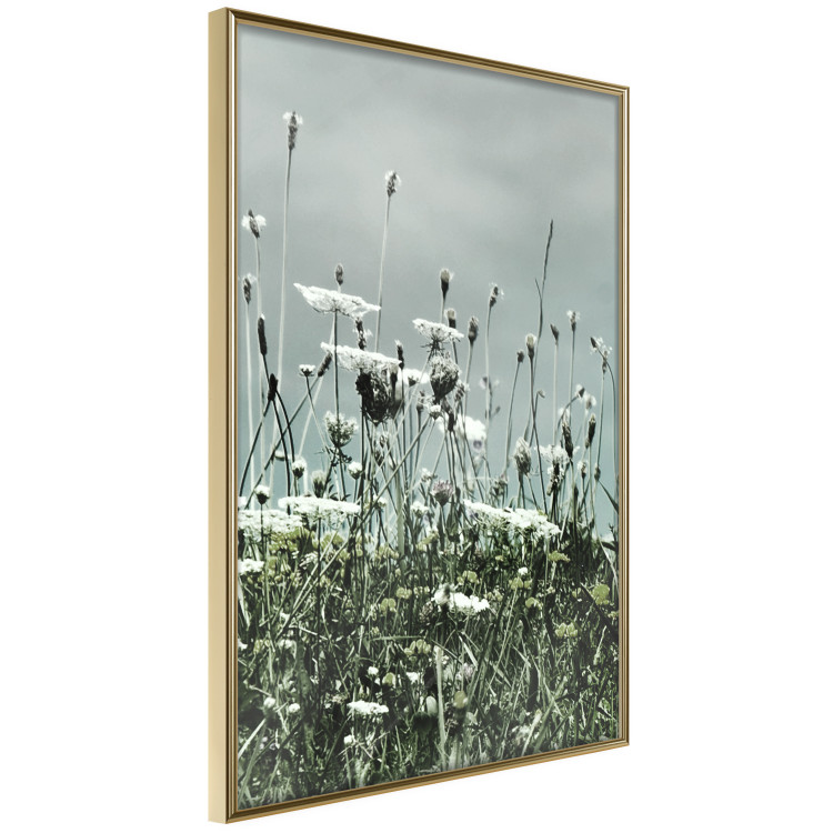 Wall Poster Midsummer - landscape of a flower-filled meadow with cloudy sky in the background 137231 additionalImage 16