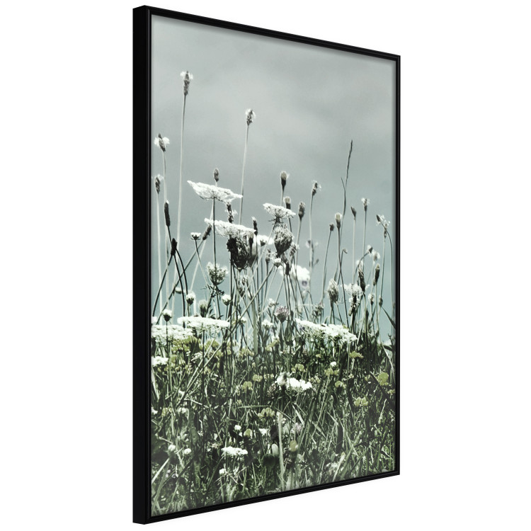 Wall Poster Midsummer - landscape of a flower-filled meadow with cloudy sky in the background 137231 additionalImage 17