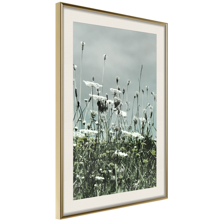 Wall Poster Midsummer - landscape of a flower-filled meadow with cloudy sky in the background 137231 additionalImage 19