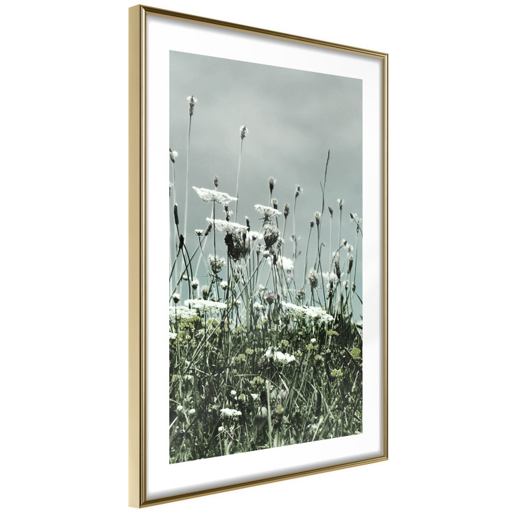 Wall Poster Midsummer - landscape of a flower-filled meadow with cloudy sky in the background 137231 additionalImage 14