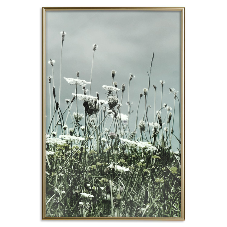 Wall Poster Midsummer - landscape of a flower-filled meadow with cloudy sky in the background 137231 additionalImage 6