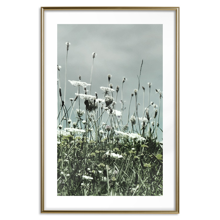 Wall Poster Midsummer - landscape of a flower-filled meadow with cloudy sky in the background 137231 additionalImage 2