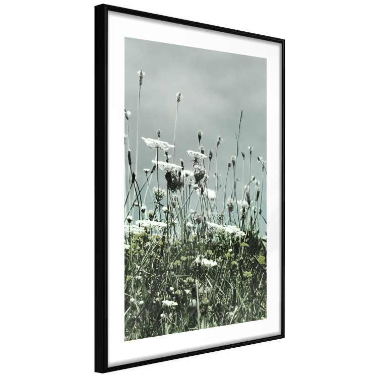 Wall Poster Midsummer - landscape of a flower-filled meadow with cloudy sky in the background 137231 additionalImage 15