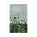 Wall Poster Midsummer - landscape of a flower-filled meadow with cloudy sky in the background 137231 additionalThumb 8