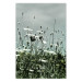 Wall Poster Midsummer - landscape of a flower-filled meadow with cloudy sky in the background 137231