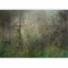 Photo Wallpaper Abstract forest - motif of a lit tree on a forest background in green 143931 additionalThumb 5