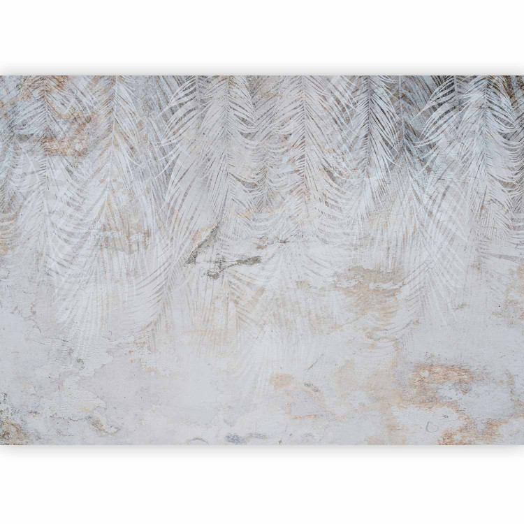 Wall Mural Steel nature - background in grey tones with palm leaf shape 144631 additionalImage 5