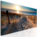 Large canvas print Sunset Path III [Large Format] 149031 additionalThumb 2