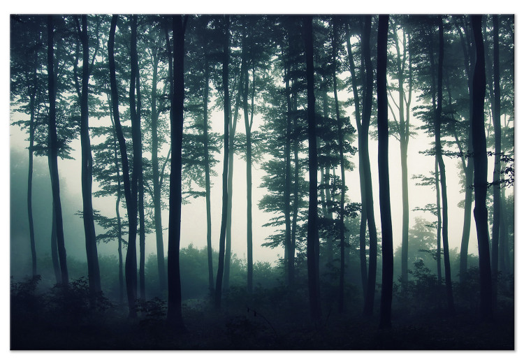 Large canvas print Forest in the Mist [Large Format] 150831