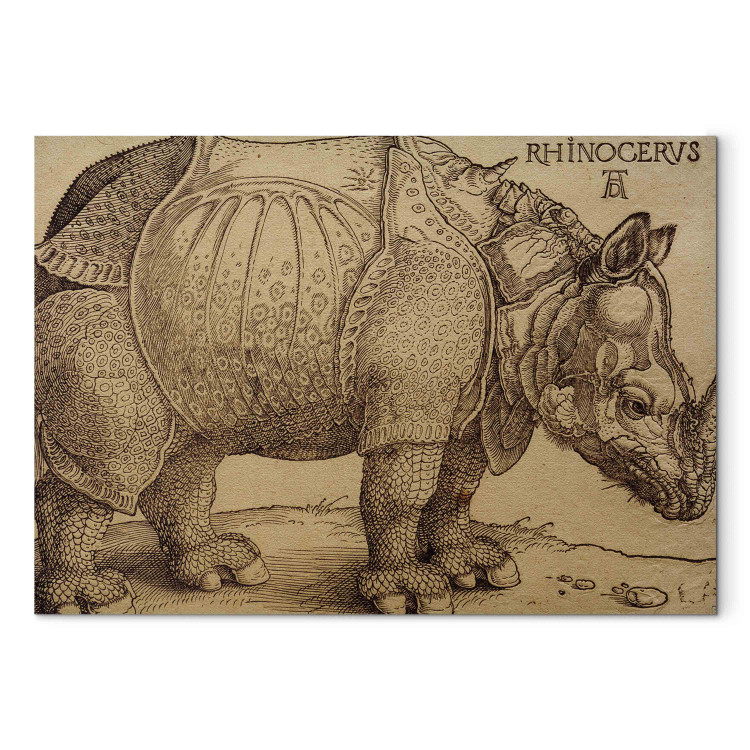 Reproduction Painting The Rhinoceros 158431