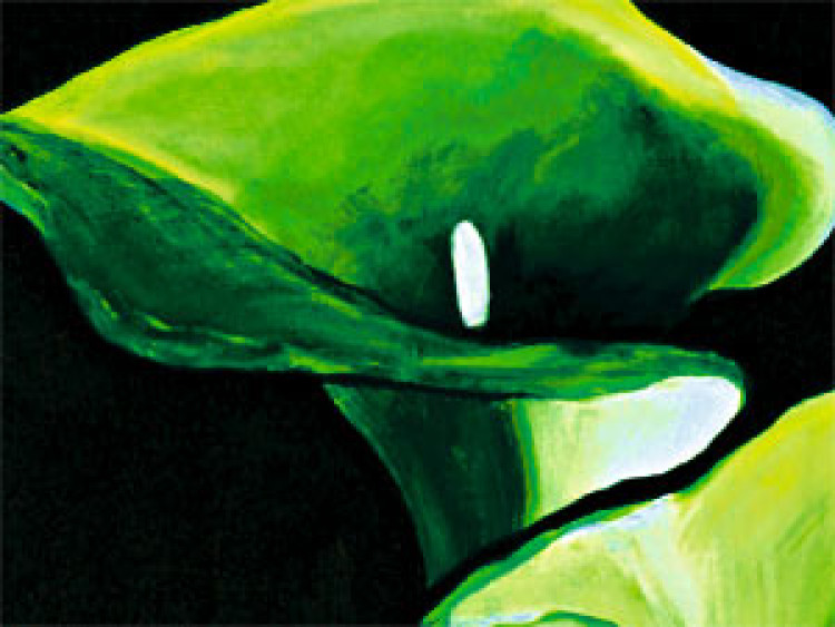 Canvas Art Print Emerald callas 48831 additionalImage 2