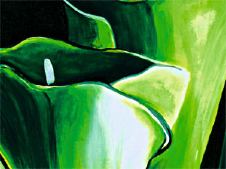Canvas Art Print Emerald callas 48831 additionalImage 3
