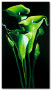 Canvas Art Print Emerald callas 48831