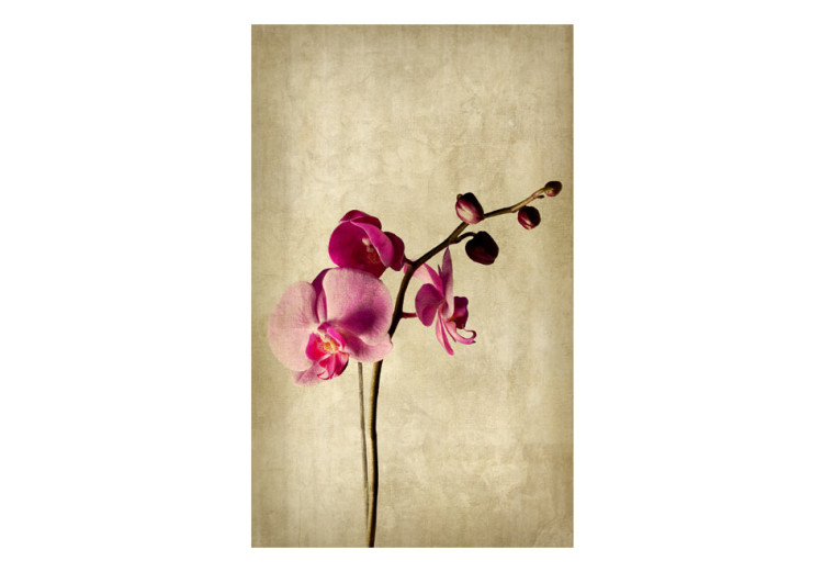 Wall Mural Orchid, strength and subtlety 60631 additionalImage 1