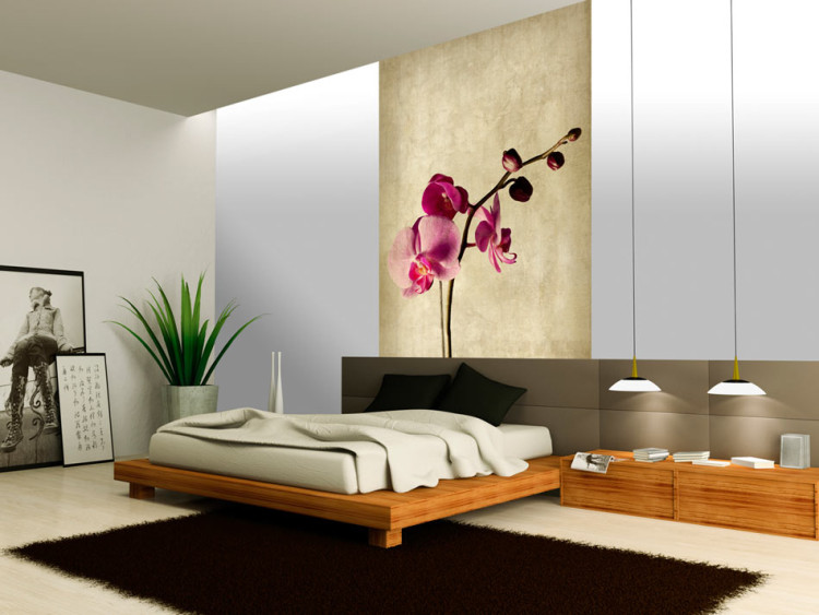 Wall Mural Orchid, strength and subtlety 60631