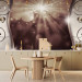 Photo Wallpaper Sunshine - abstract with silver ornaments and sparkle 97131 additionalThumb 6