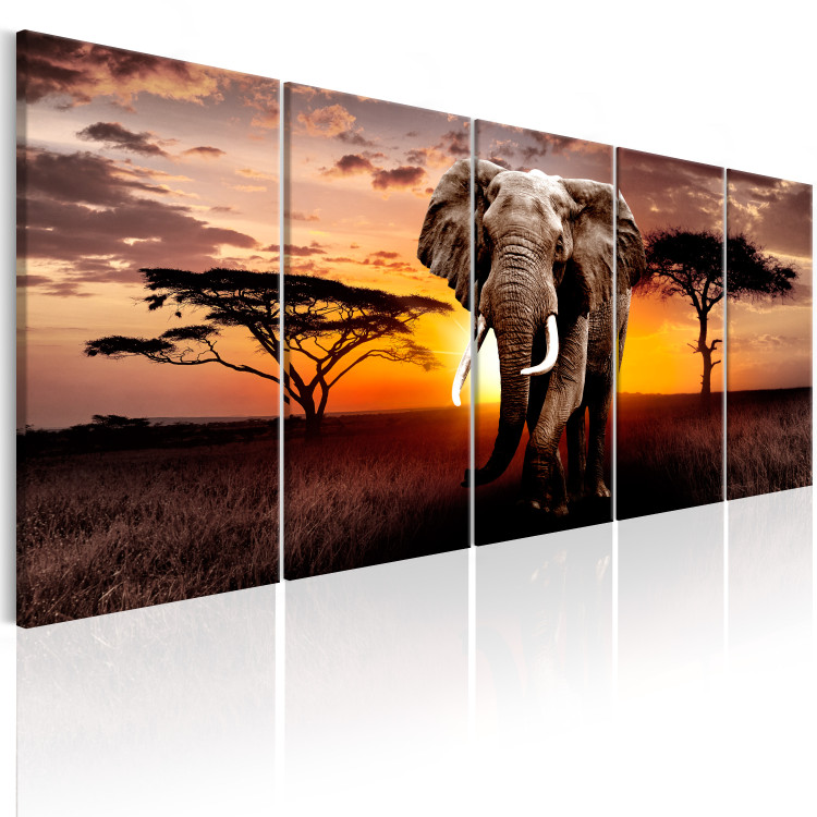 Canvas African Elephant (5-piece) - Animal Against a Sunset Background 98631 additionalImage 2