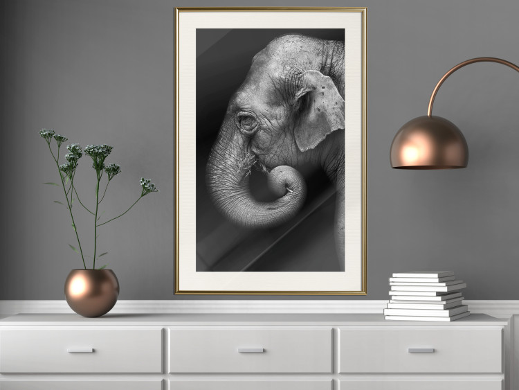 Poster Elephant Portrait - black and white composition with an African animal 116441 additionalImage 21