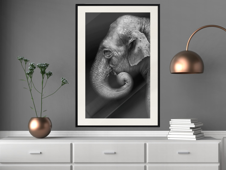 Poster Elephant Portrait - black and white composition with an African animal 116441 additionalImage 22