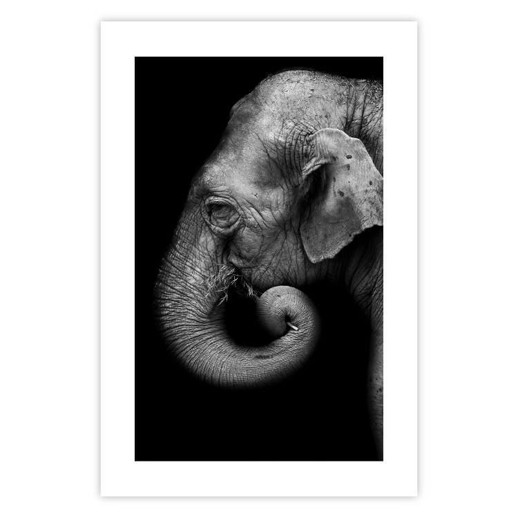 Poster Elephant Portrait - black and white composition with an African animal 116441 additionalImage 19